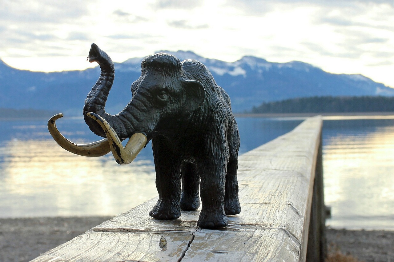 mammoth-240677_1280.jpg