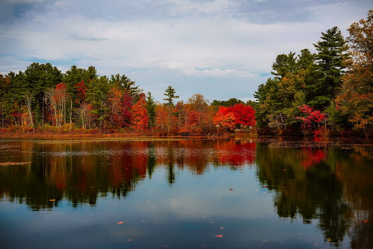 massachusetts-1813239_1280.jpg