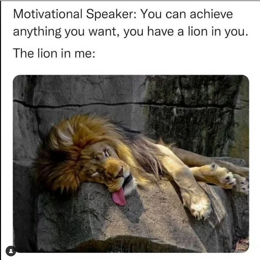 1697482540763.png