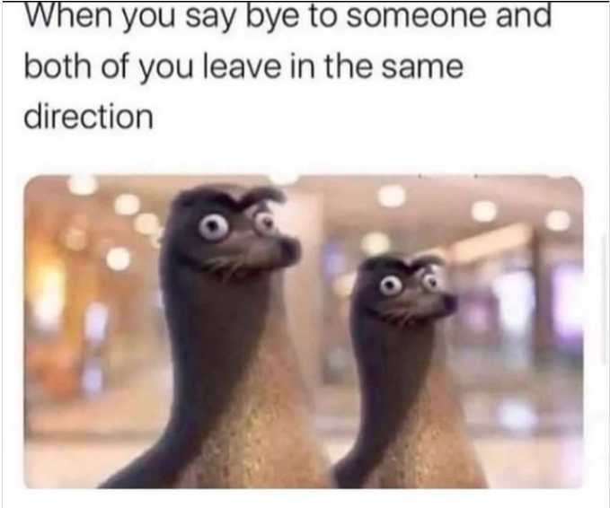 1697487229232.png