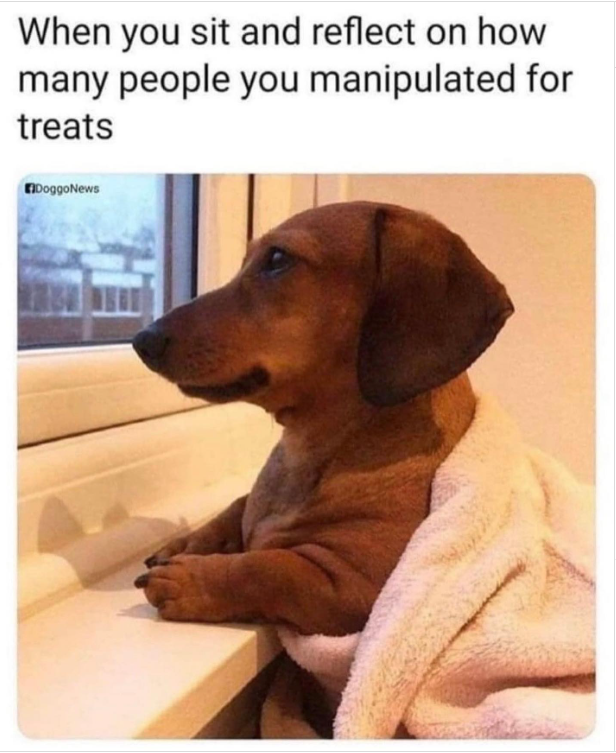 1697487864190.png