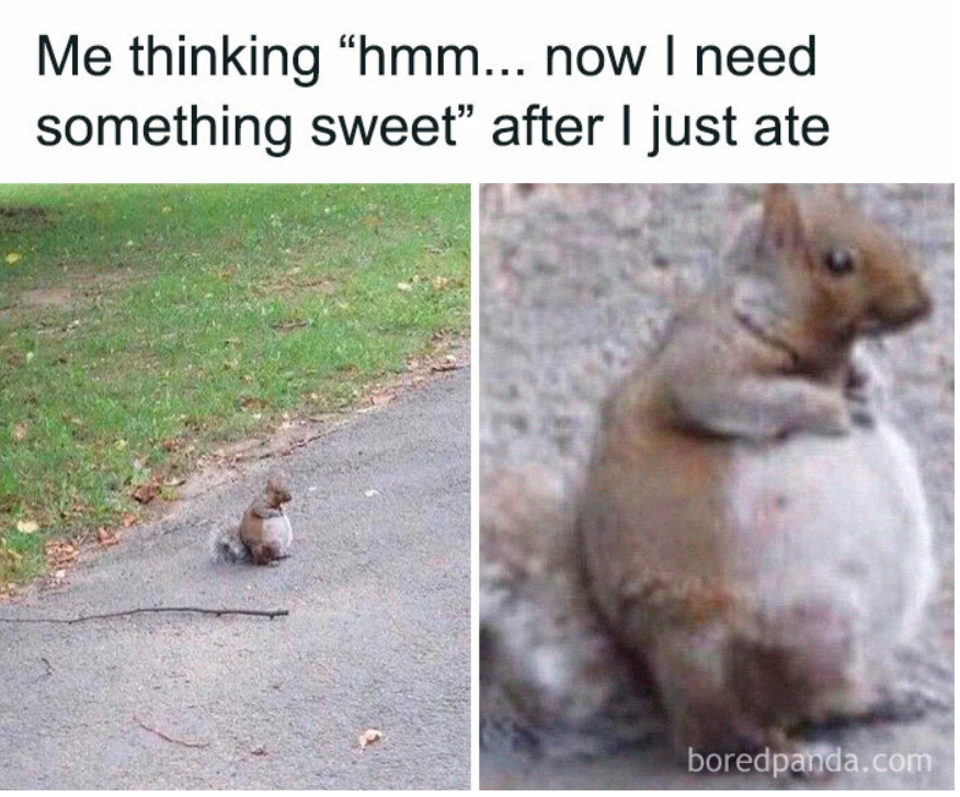 1697491266549.png