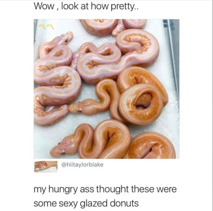1697491833931.png