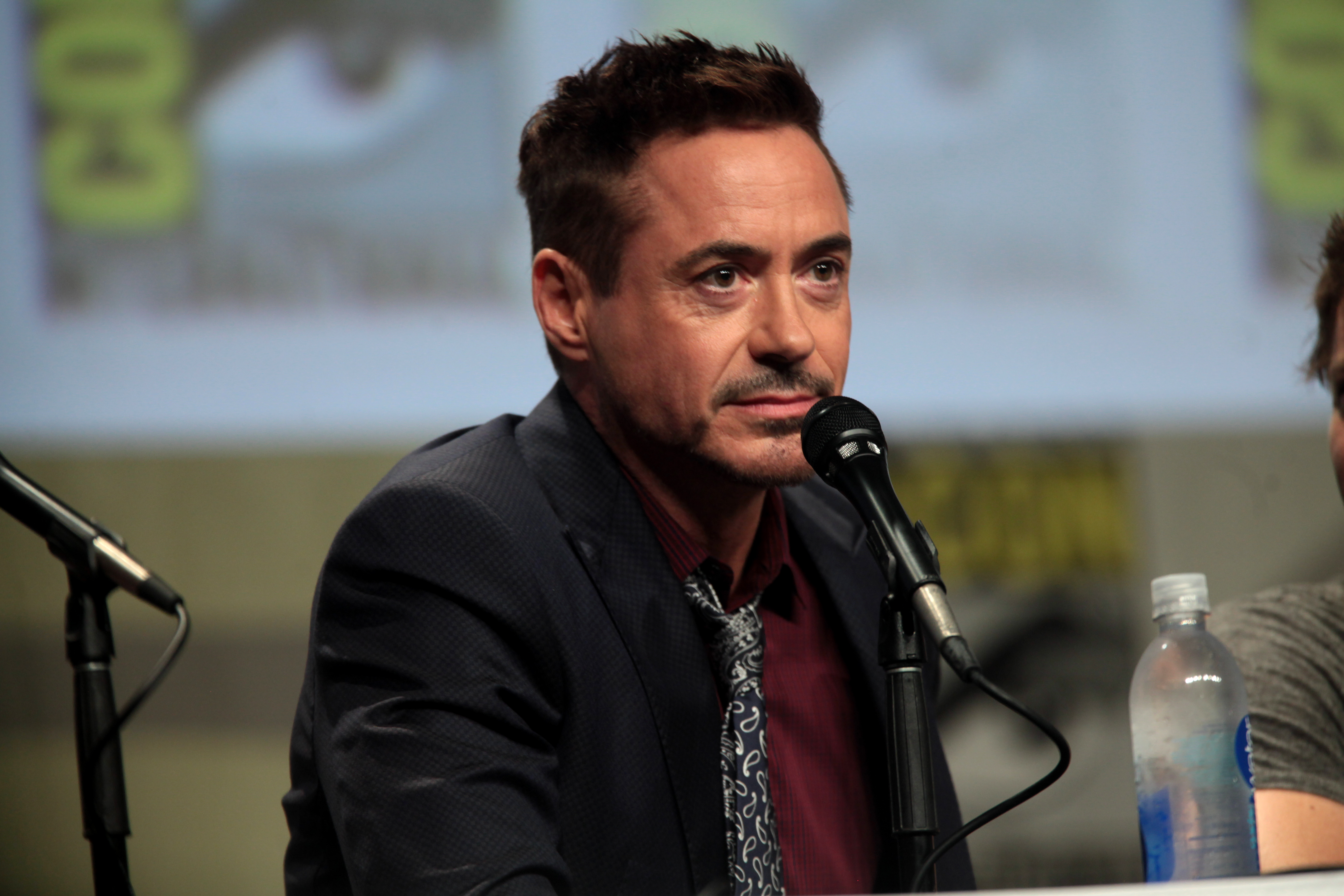 Robert_Downey_Jr_2014_Comic_Con.jpg
