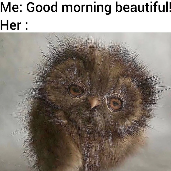 1696449877549.png