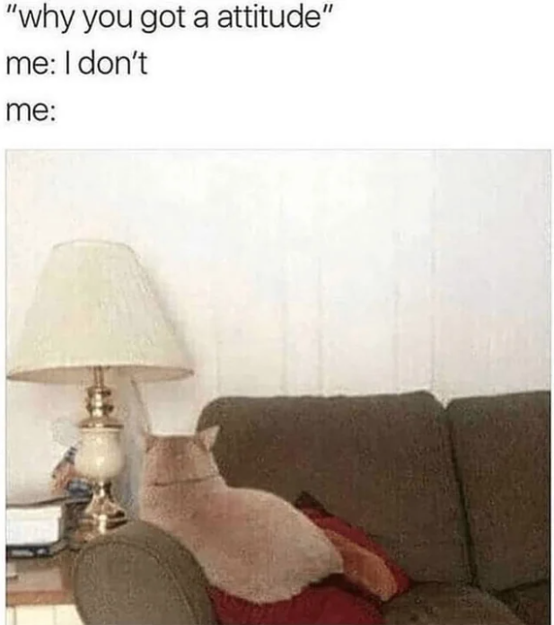 1696455549569.png