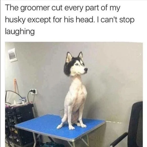 1696616040920.png