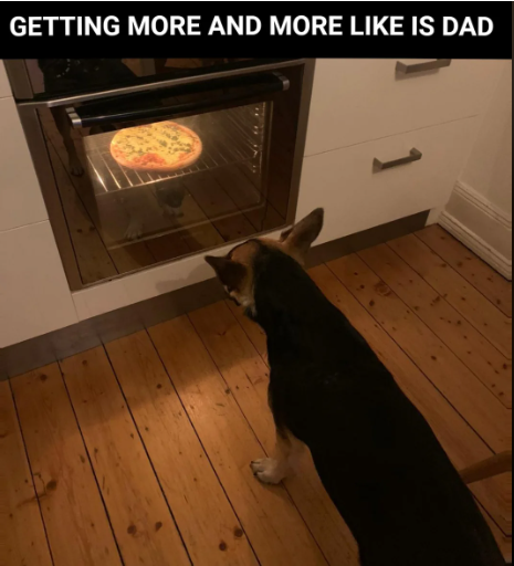 1696616121877.png