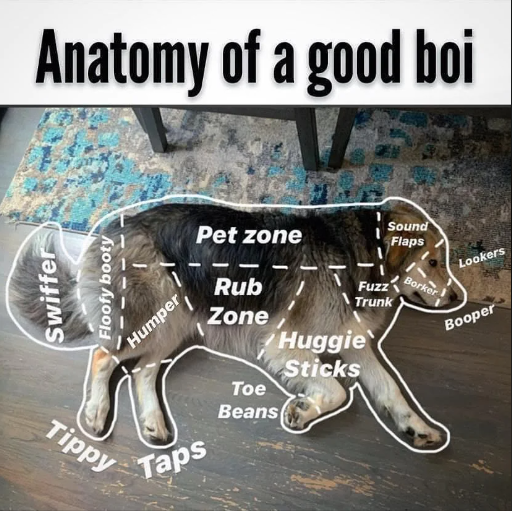 1696616189533.png