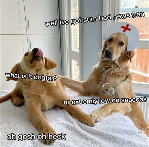 1696616314629.png