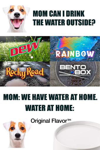 1696616379135.png