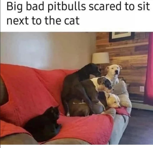 1696616884278.png