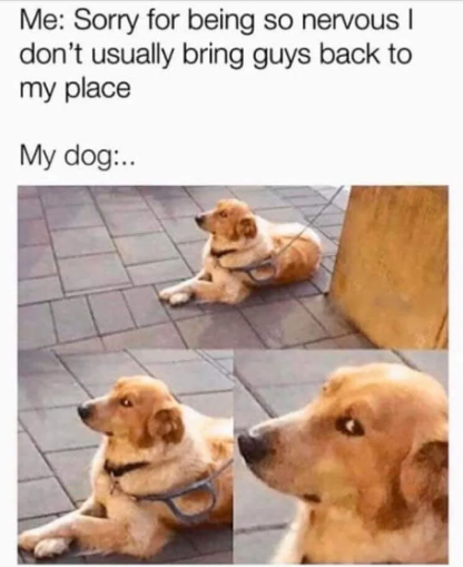 1696617029462.png