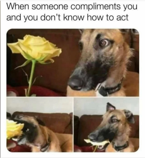 1696617834493.png