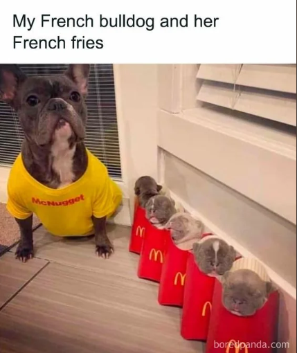 1696617973438.png