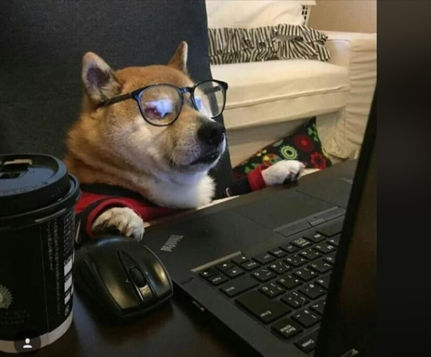 1696620877403.png