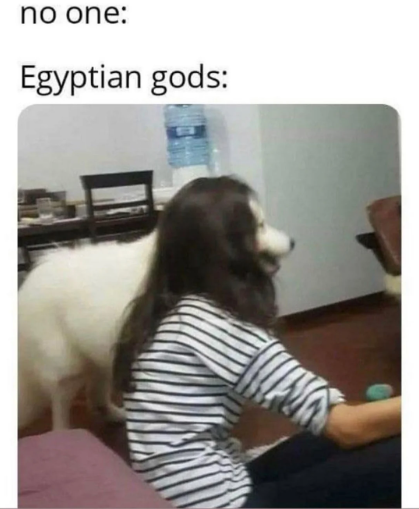 1696621052806.png
