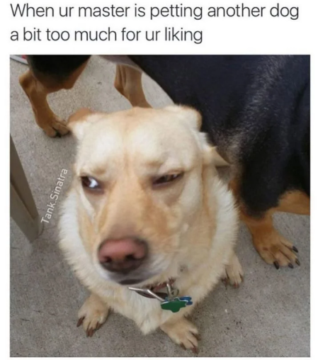 1696621200843.png