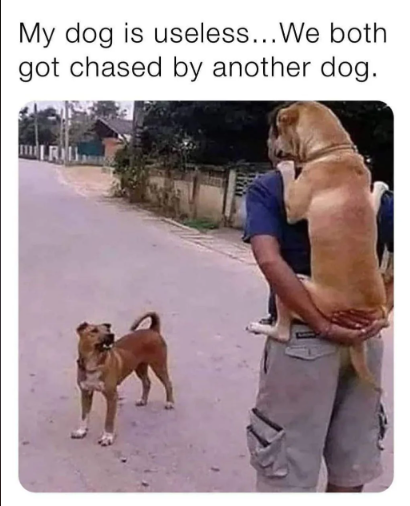 1696621328361.png
