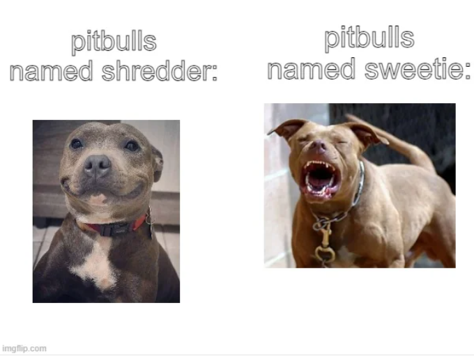 1696621398492.png