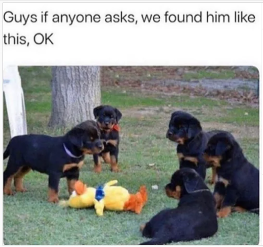 1696621522480.png