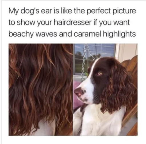 1696621697475.png