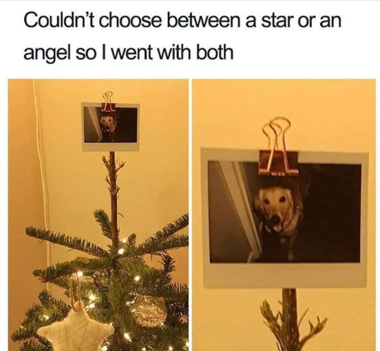 1696621780314.png