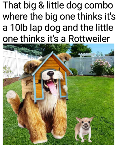1696622189631.png