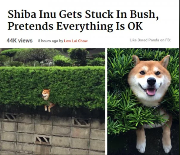 1696623627358.png