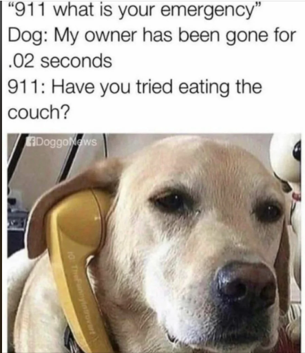 1696623768675.png