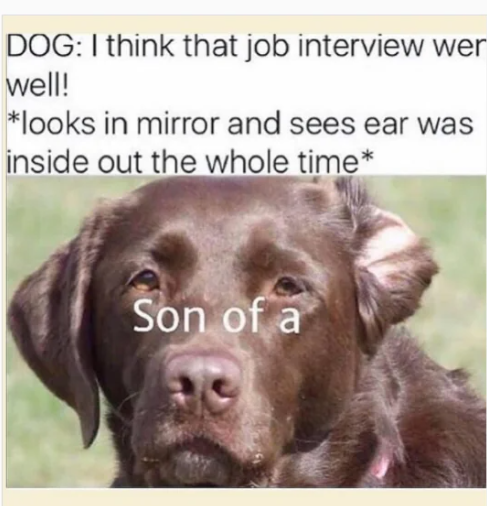 1696624710272.png