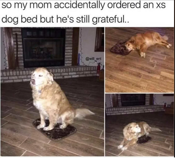 1696625101902.png