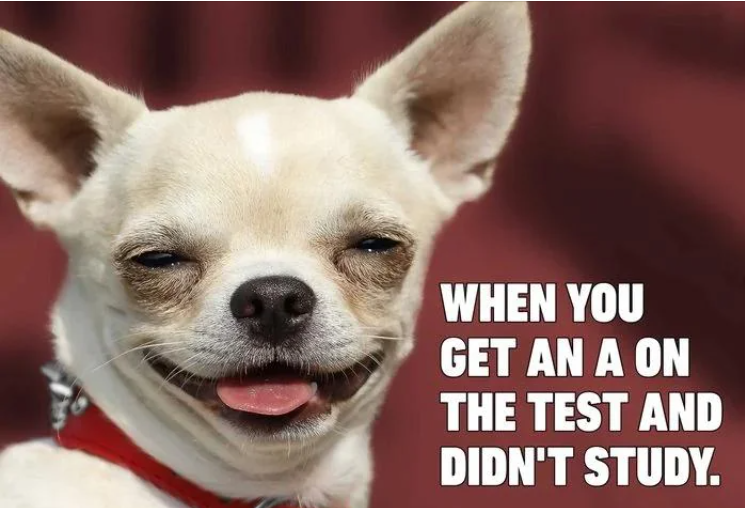 1696625264731.png