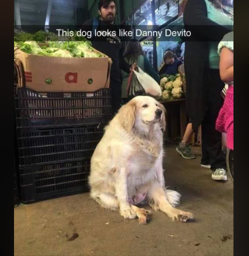 1696625362368.png