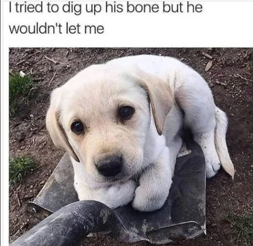 1696625437720.png