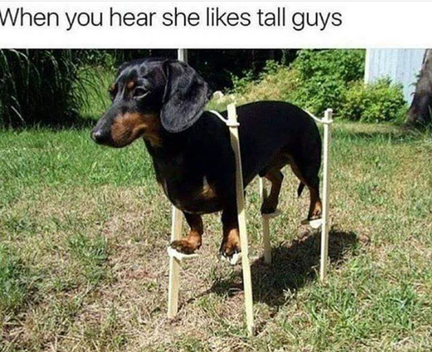 1696625562545.png