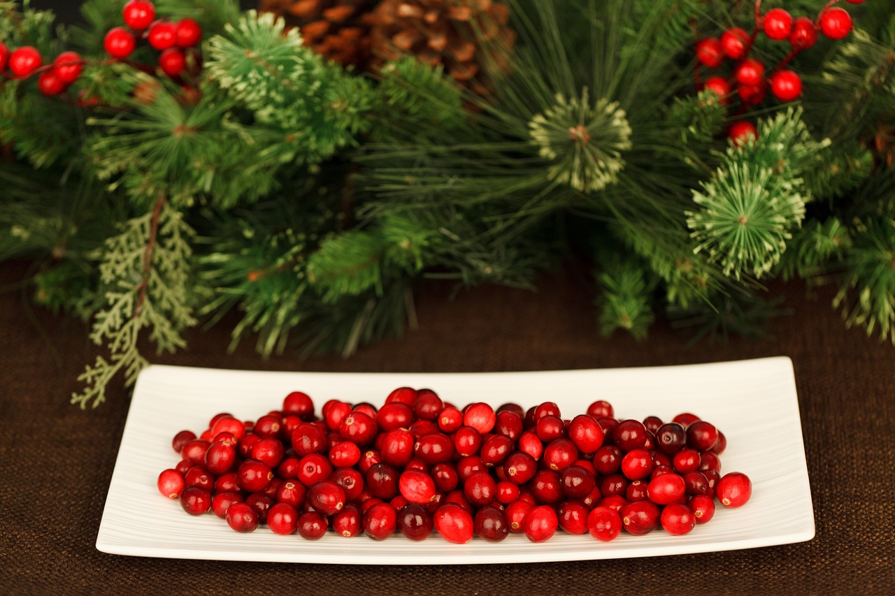 christmas-21949_1280.jpg