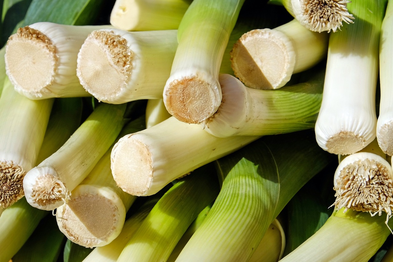 leek-2199563_1280.jpg