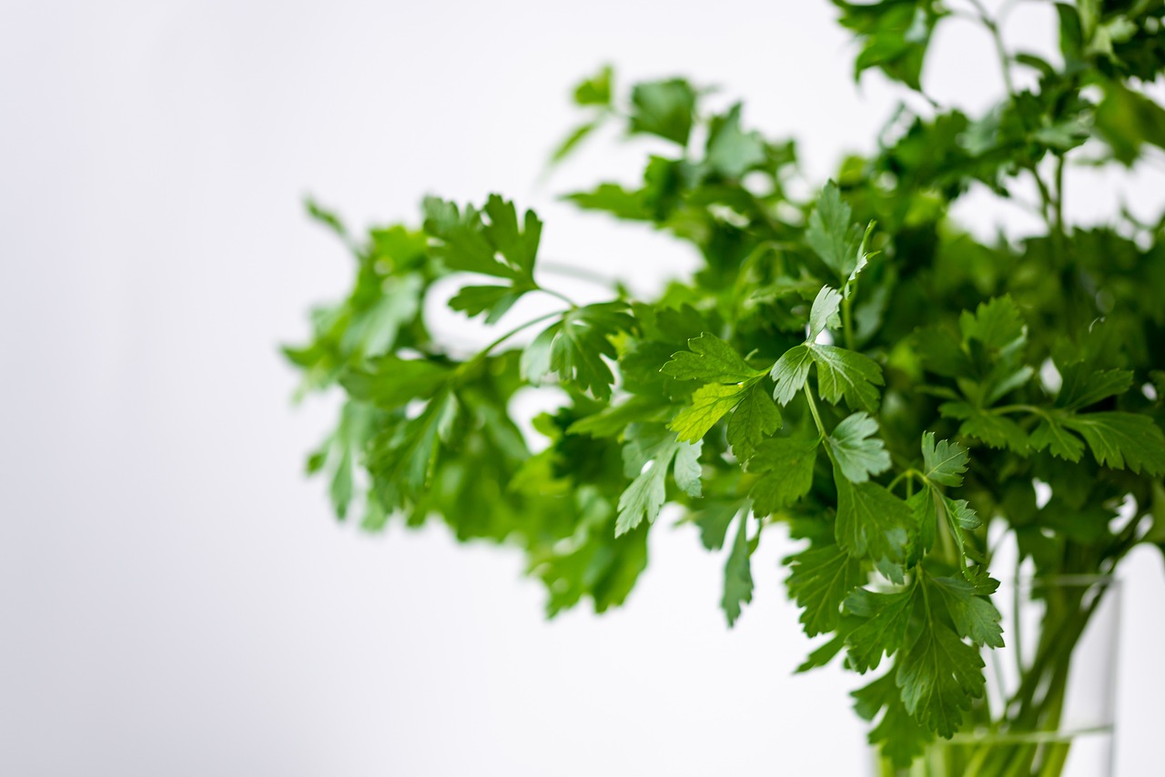 parsely-4688651_1280.jpg