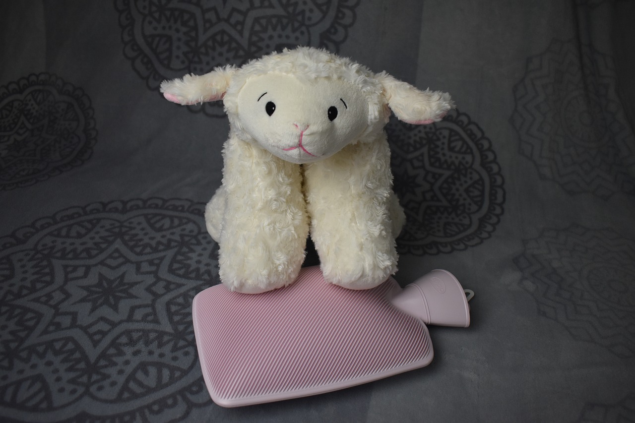 sheep-4506394_1280.jpg