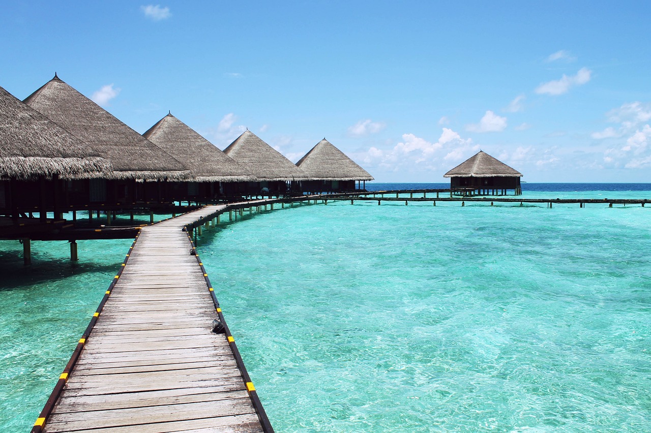 paradise-598201_1280.jpg