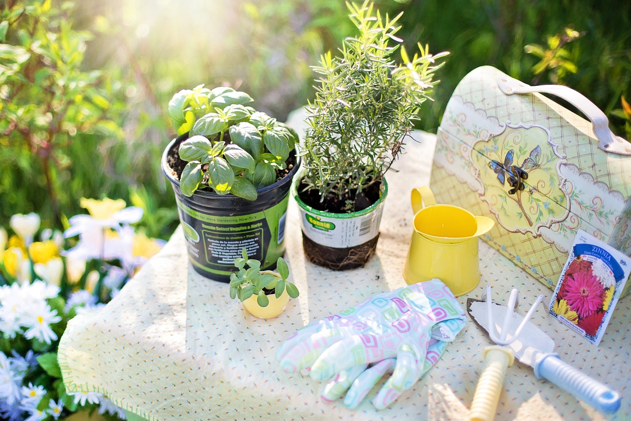 planting-780736_1280.jpg