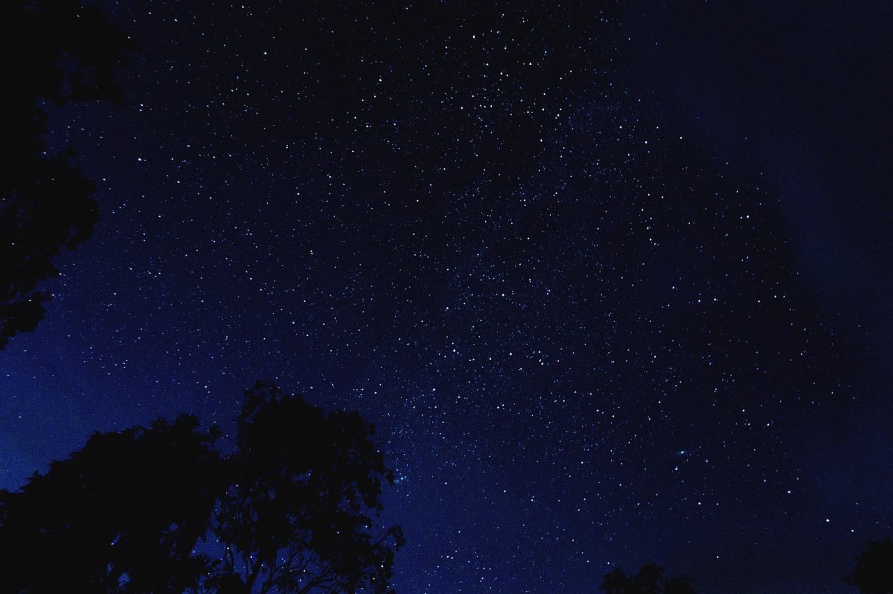 beautiful-1866538_1280.jpg