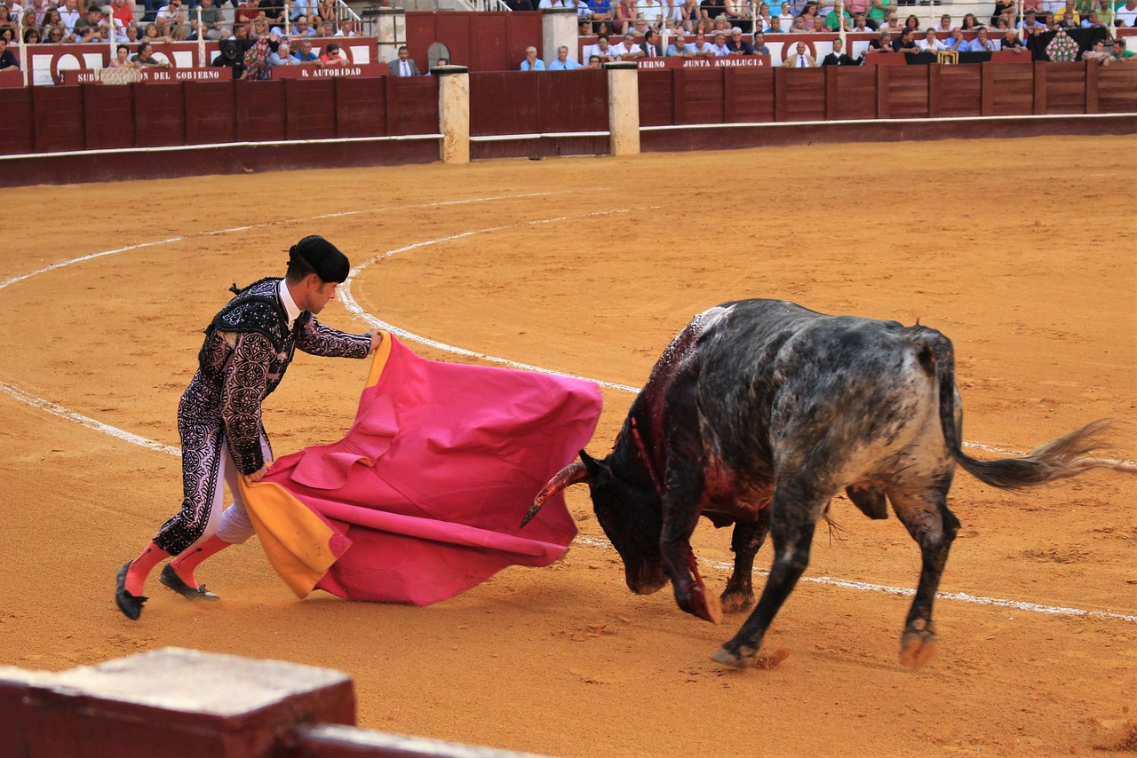 bull-fighting-3606156_1280.jpg
