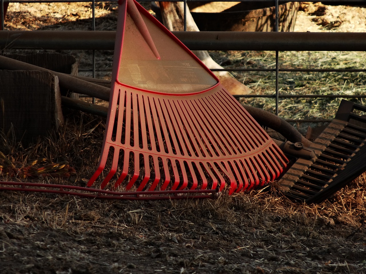 rake-962756_1280.jpg