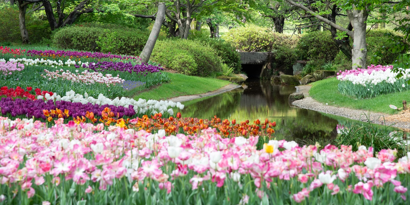 Flowergarden
