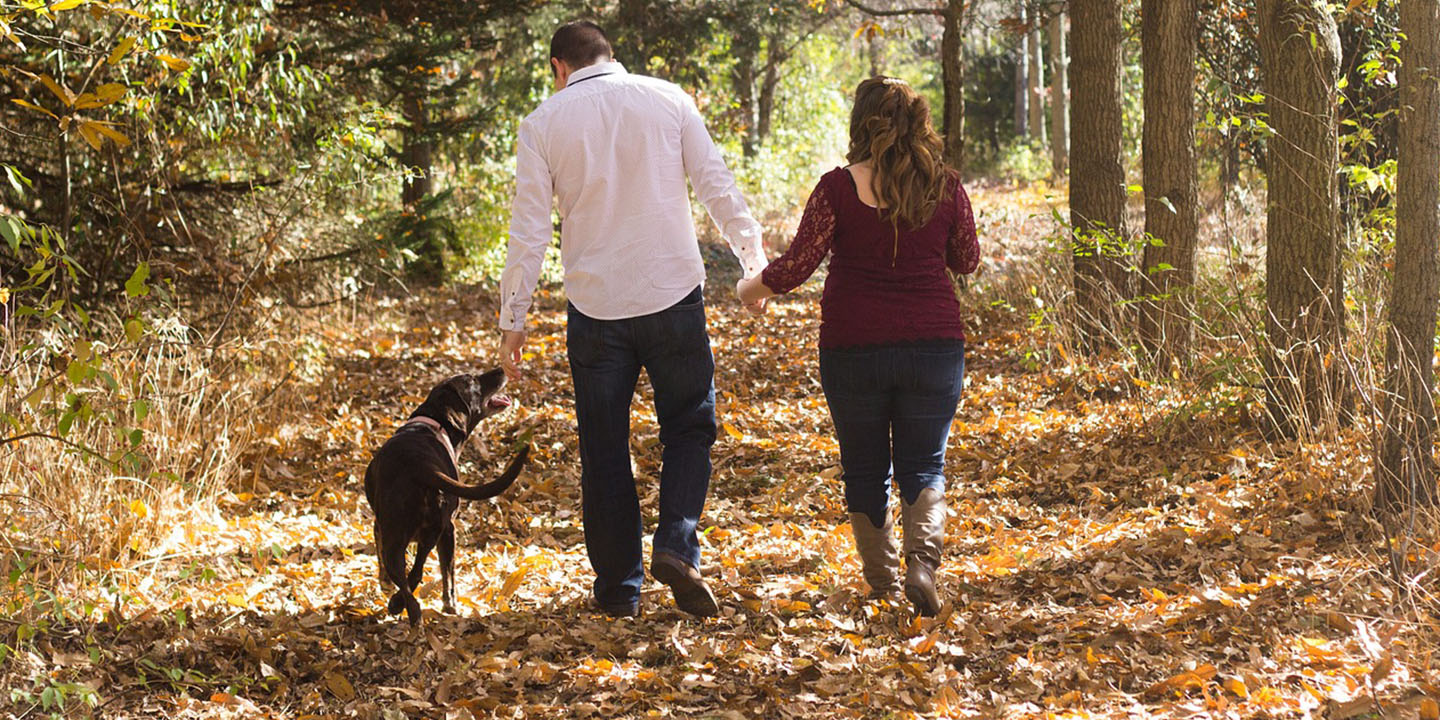 Family Dog