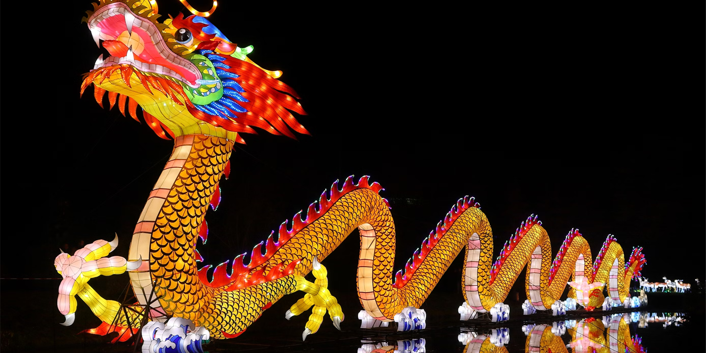 Yearofthedragon