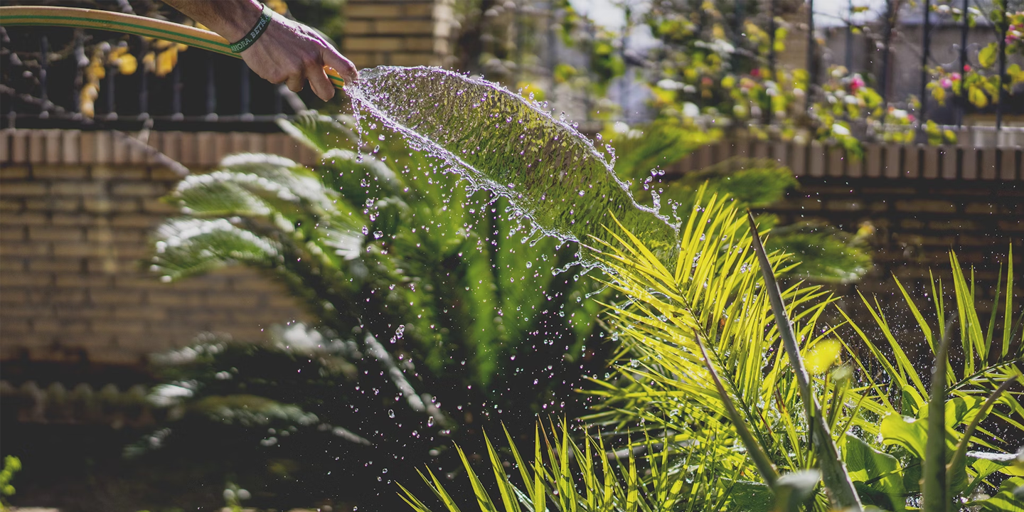 Gardeningmistakes