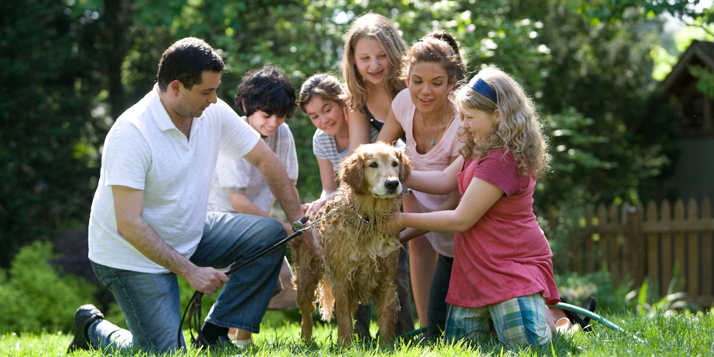 Dogbreeds